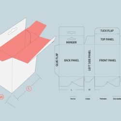 what is dieline how to make dieline